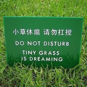 Meet your Posher, Liz